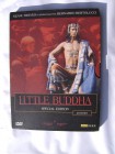 Little Buddha - Special Editon 