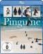 Pinguine [Blu-ray] OVP 