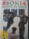 Bone allein zu Haus - Ein Hund a la Kevin, Kinder, Familie 