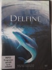 Delfine - magische Momente - Doku über Flipper Verwandte 