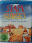 Siam Sunset - schräge Busreise durch Australien 