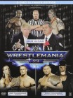 Wrestlemania 23, Steel-Case 