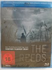 The Reeds - Sie spielen mit Dir um Dein Leben - Boot Ausflug 