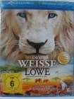 Der weiße Löwe - König der Löwen in Realfilm - Tierfilm 