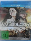 War Flowers 3D - Amerikanischer Bürgerkrieg, Südstaaten 