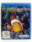 Unterwasserwelten - Rotes Meer - Unter dem Meer Aufnahmen 