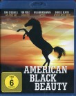 American Black Beauty (Blu-Ray) 