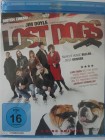 Lost Dogs - Manche Hunde bellen, diese beißen - Hippies 