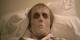 ZOMBIE DAWN OF THE DEAD(GEORGE A.ROMERO KLASSIKER 1978,TOM SAVINI)LIM.MEDIABOOK B US-THEATRICAL VERSION(OVP)UNCUT 