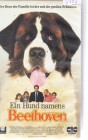 Ein Hund namens Beethoven (5202) 