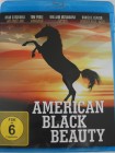 American Black Beauty - Mädchen auf Pferde Farm - Tierfilm 