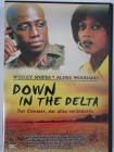 Down in the Delta - Mississippi und Chicago - Wesley Snipes 