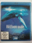 Mission Wale - Das Leben - Cape Farewell - Atlantik Walfang 