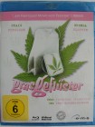 Grasgeflüster - Joint Adventure Marihuana Plantage im Garten 