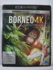 Borneo 4K - Faszination Asien - Malaysia, Indonesien, Höhle 