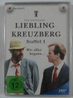 Liebling Kreuzberg - Staffel 1 - Rechtsanwalt Manfred Krug 