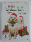 Ein Hund rettet die Weihnachtsferien - Pudel, Weihnachten 