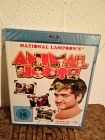 Animal House - Ich glaub', mich tritt ein Pferd 