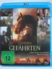 Gefährten - Freude, Trauer, Leid, Freundschaft - Spielberg 