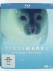 Terra Mare 2 - Geheimnisse der Ozeane - Mönchsrobben, Wale 