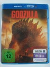 Godzilla 2014 - Existenz von bösartigen Kreaturen - Watanabe 