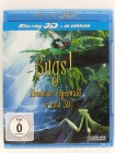 Bugs! - Abenteuer im Regenwald 3D - REAL 3D - Borneo 