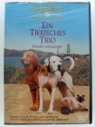 Ein tierisches Trio  Wieder unterwegs - Walt Disney Tierfilm 