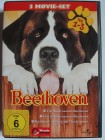 Ein Hund namens Beethoven + Eine Familie namens Beethoven+ Urlaub mit Hindernissen - Teil 1 - 3 