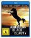 American Black Beauty [Blu-ray] OVP 