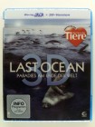 Last Ocean - Paradies am Ende der Welt 3D - Antarktis 