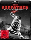 Asian Godfather Gangs of Wasseypur 1+2 Blu-ray The Raid meets der Pate 