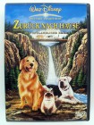 Zurück nach Hause - Die unglaubliche Reise - Walt Disney Tierfilm, Zwei Hunde und eine Katze auf dem Heimweg 