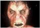 American Werewolf in London nummerierte Blu Ray 2Disc Retro VHS Tape Edition mit Poster wie das Mediabook NEU 