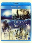 Odyssee durch Sibirien 3D - Mit dem Schlittenhund durch Schnee, Tundra, Taiga - Nicolas Vanier 