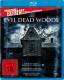 Evil Dead Woods - Blu-ray Neu 