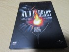 Wild at Heart - Collector's Edition 