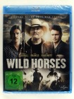 Wild Horses - Texas Ranger Polizistin Luciana Duvall - Robert Duvall, James Franco, Josh Hartnett 