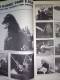 G-FAN Special Collection Nr.1 December 1995 Magazin GODZILLA Fanzine Heft 