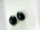 Shaligram........... 