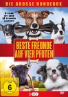 Beste Freunde auf vier Pfoten - 9 Hundfilme  3 DVD's/NEU/OVP