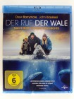 Der Ruf der Wale - Big Mircale - Grauwale, Alaska - Drew Barrymore, John Krasinski, Ken Kwapis 