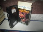 VHS - American Werewolf - John Landis - CINEMA PAPPE