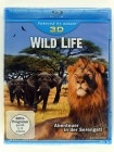 Wilf Life 3D - Abenteuer in der Serengeti - Natur Afrika Löwen Nashörner Giraffen Real 3D