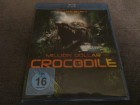 Million Dollar Crocodile - Die Jagd beginnt