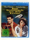 Ein Goldfisch an der Leine - Angler, Agentin - Rock Hudson, Paula Prentiss, Howard Hawks