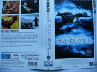 Mary Shelley´s Frankenstein ... Robert De Niro, Kenneth Branagh, Tom Hulce, John Cleese ... VHS 