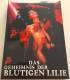 DAS GEHEIMNIS DER BLUTIGEN LILIE BluRay & DVD 100% uncut Premium GIALLO MEDIABOOK WATTIERT ! Nr. 24 von 111 makellos OVP 