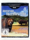 Adventure Yellowstone - Der Ruf der Wildnis - 4K - Bison, Wapiti, Grizzly, Wölfe