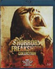 HORROR FREAKSHOW Collection - Blu-ray - 4 Filme - INSANE + HUMANS VS. ZOMBIES + ZOMBIE RAGE + THE THEATRE BIZZARE