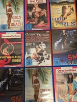 Erotikfilme Obzönitäten, Girls on the Beach, Graf P...und seine Girls, Domino sucht ... Sammlung, Konvolut 25 DVD&#039;S